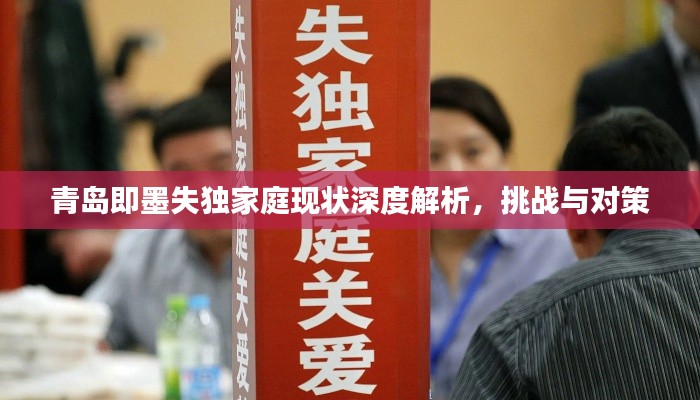 青岛即墨失独家庭现状深度解析，挑战与对策