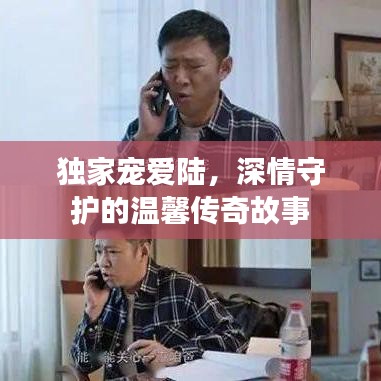 独家宠爱陆，深情守护的温馨传奇故事