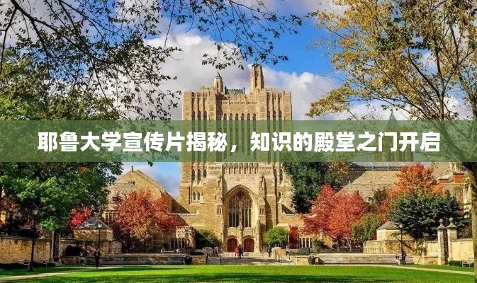 耶鲁大学宣传片揭秘，知识的殿堂之门开启