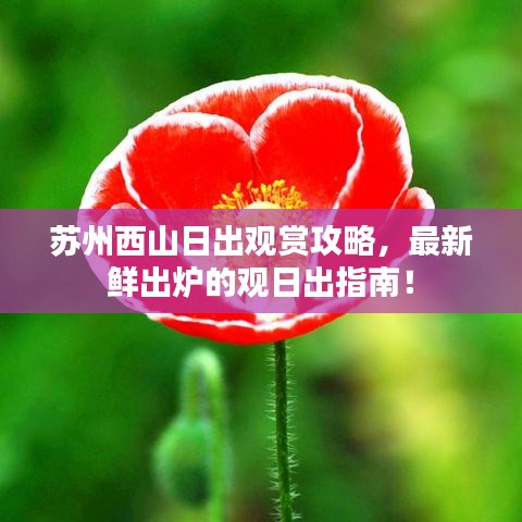 苏州西山日出观赏攻略，最新鲜出炉的观日出指南！