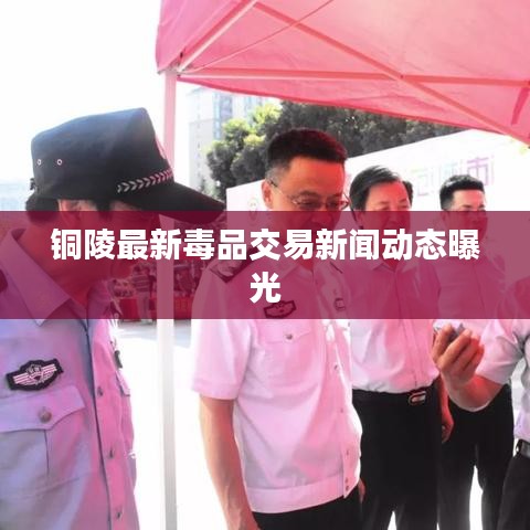 铜陵最新毒品交易新闻动态曝光