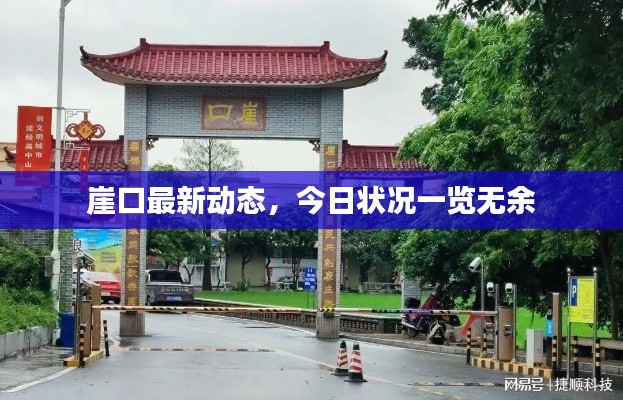崖口最新动态，今日状况一览无余