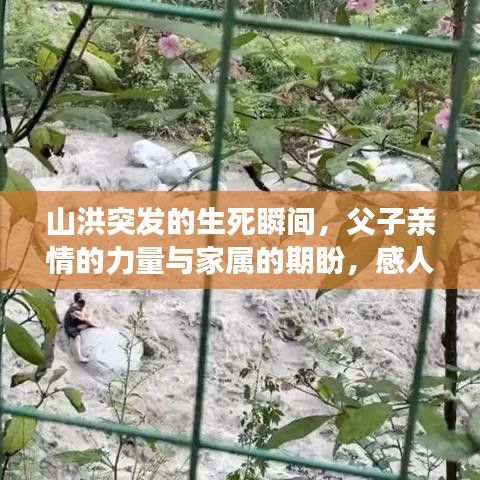 山洪突发的生死瞬间，父子亲情的力量与家属的期盼，感人至深！