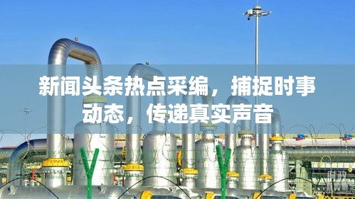 新闻头条热点采编，捕捉时事动态，传递真实声音