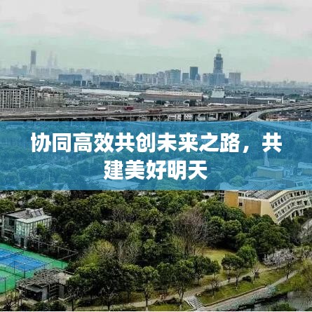 协同高效共创未来之路，共建美好明天
