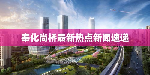 奉化尚桥最新热点新闻速递